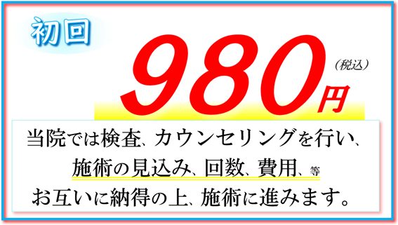 初回980円