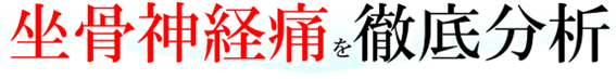 坐骨神経痛を徹底分析
